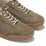 F2383 DELBUCK TORTORA+COM.3-5