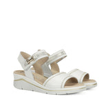 F2427 ALFA BUFALINO BLANCO PLATINO-1