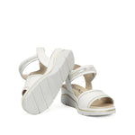 F2427 ALFA BUFALINO BLANCO PLATINO-3