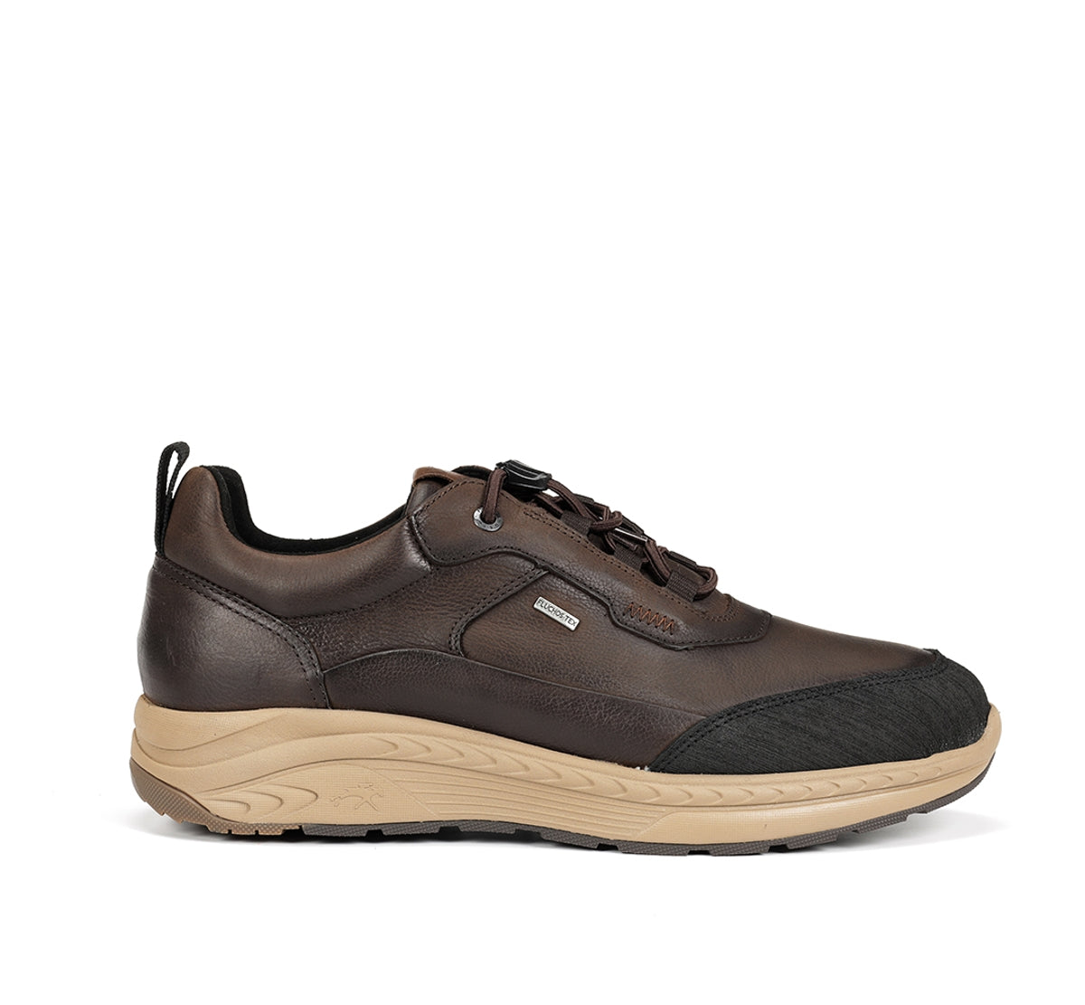 F2294 VEGABUCK HIDRO CAFE+COM.1-0