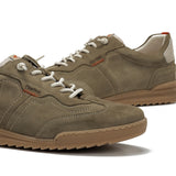 F2383 DELBUCK TORTORA+COM.3-6