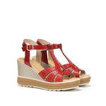 D9701-AL ALFA ROJO-1