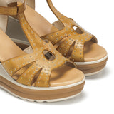 D9701-AL ALFA CAMEL-5