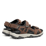 F2410 VEGABUCK CAFE-2