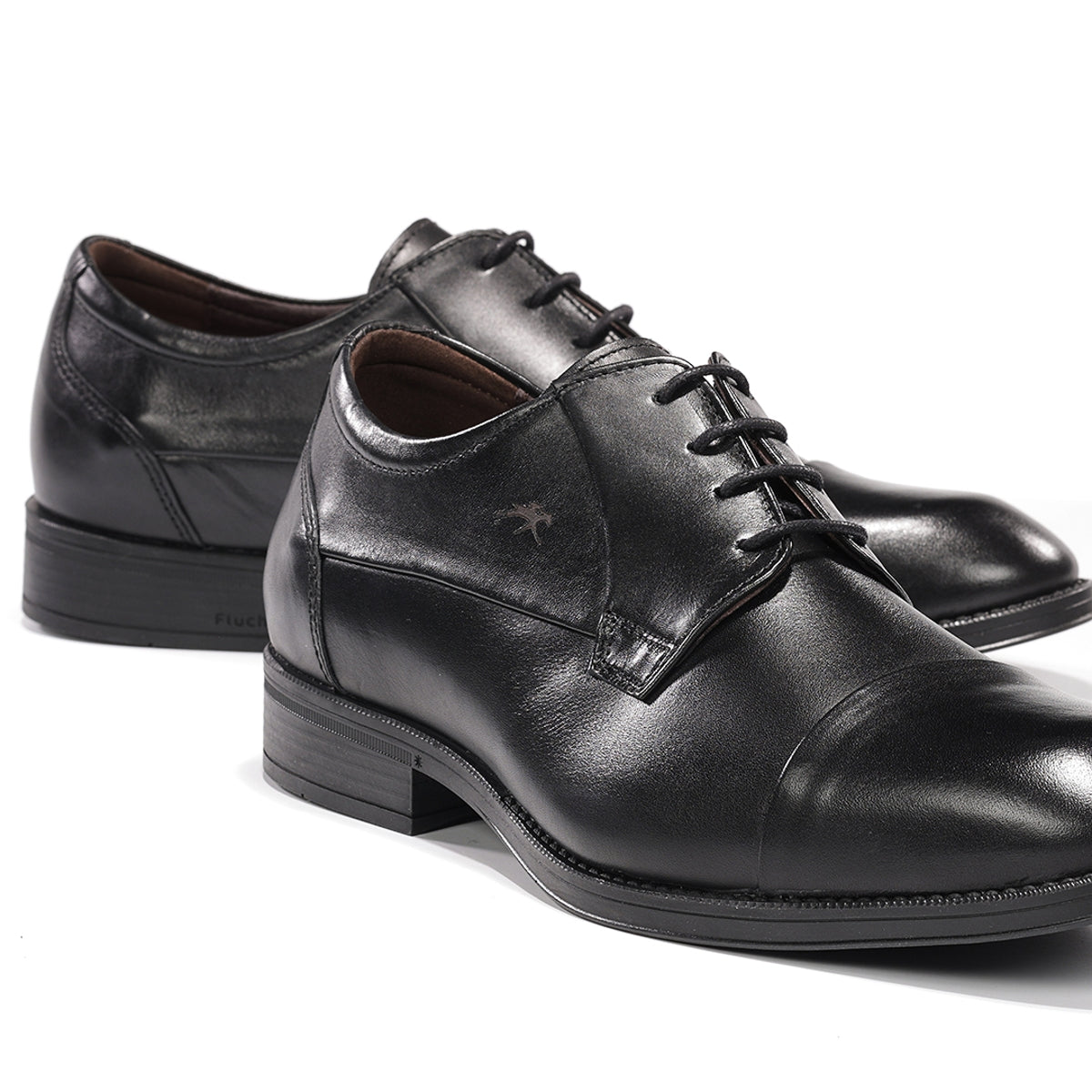 F2486W HABANA NEGRO+COM.2-6