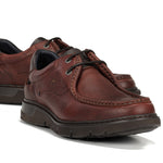 9595 GRASS LIBANO+COM.2-6