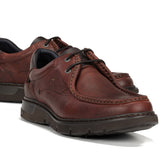 9595 GRASS LIBANO+COM.2-6