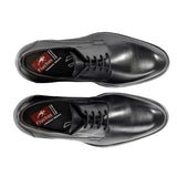 F2488 HABANA NEGRO+COM.2-4