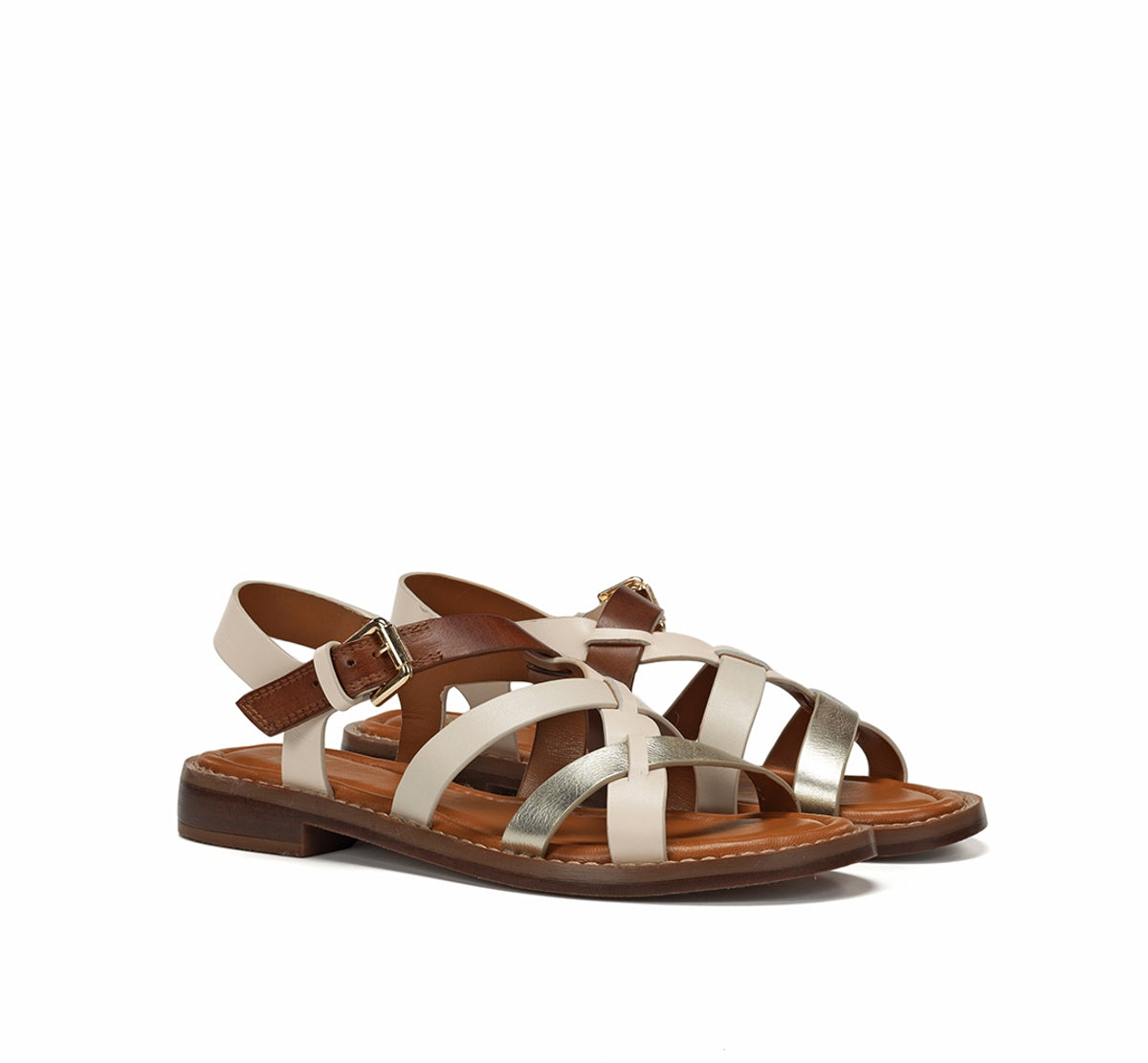 D9730-TI TIBET RAW C-1 RAW C-1-1