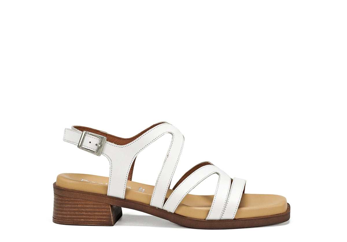 D9208-TX TEXAS BLANCO-0
