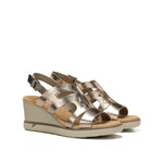 F1974 LAMINADO CAVA-1