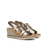 F1974 LAMINADO CAVA-1