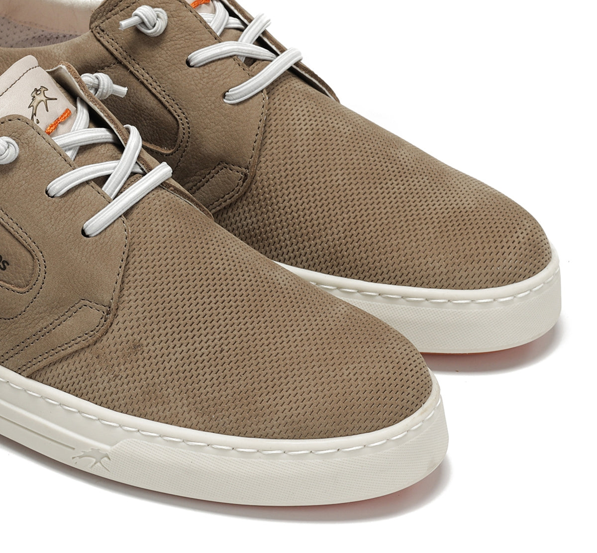 F2366 VEGABUCK MARMOTA+COM.2-5