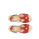 D9701-AL ALFA ROJO-4