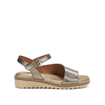 D8771-CS COSMOS IRON-0