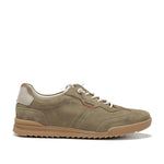 F2383 DELBUCK TORTORA+COM.3-0