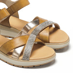 D9728ALLCA ALFA+LAMINADO+CALF CAMEL + CAVA + APRICOT-5