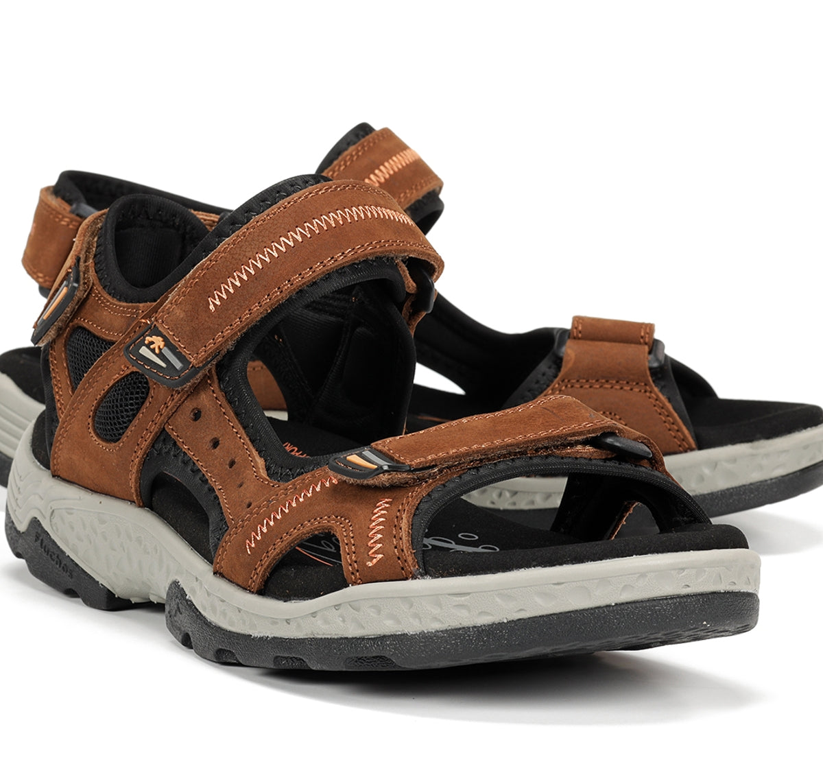 F2411 VEGABUCK LIBANO-6