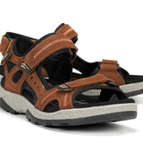 F2411 VEGABUCK LIBANO-6