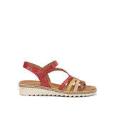 D9113-PL PLACA CARMIN C-4 CARMIN C-4-0