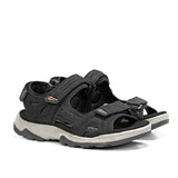 F2410 VEGABUCK NEGRO-1