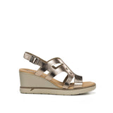 F1974 LAMINADO CAVA-0